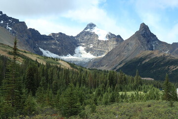 Fototapeta premium カナダのカナディアンロッキー、バンフ国立公園. ジャスパー国立公園