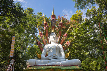 Obraz premium Phayao, Thailand - Nov 24, 2019: Naga or Serpent Buddha Statue in Forest with Blue Sky Background