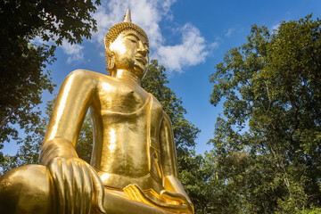 Fototapeta premium Phayao, Thailand - Nov 24, 2019: Gold Buddha Statue on Green Tree and Blue Sky Background with Natural Light at Left Frame