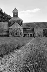senanque, france