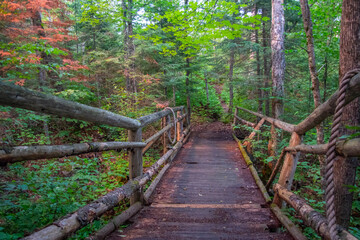 Transitions - old wooden bridge in the forest, Quebec, Canada