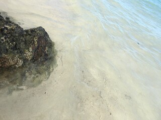 stone on the beach