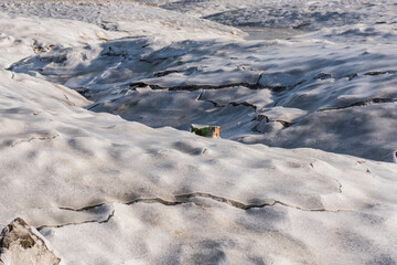 The curious tidal flat is frozen on tide and ebb.