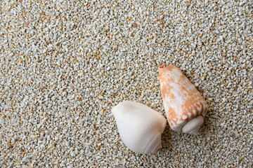 貝がらフレーム３夫婦