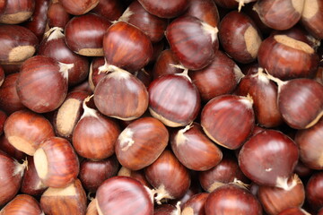 
Chestnuts found on the ground around the chestnut tree.