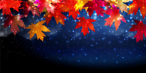 紅葉　もみじ　秋　背景
