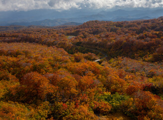 鳥海山山麓の紅葉