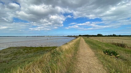 Fototapeta premium View of the broads National Park from the river bank in a cloudy day shoot taken against the sun with a dramatic sky and strong shadow.