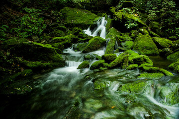 Mossy valley.Beautiful mountain stream with moss covered stone,