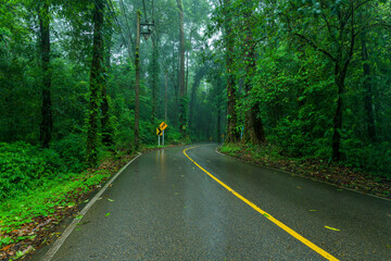 Obraz premium View asphalt road in the rainforest