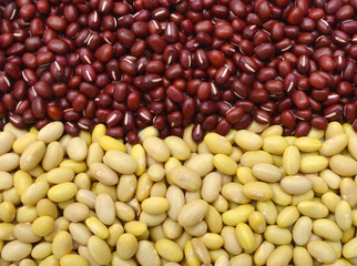 Yellow Beans and adzuki beans on background