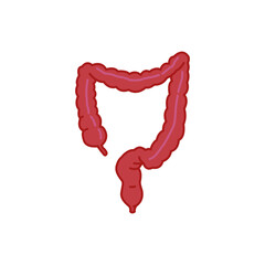 Large intestine icon, filled with outline. Intestines digestive system symbol. Digestion part of internal body organ. Colitis, duodenum, colon tract. Vector illustration. Design on white background EP