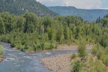 Fototapeta na wymiar The Dolores River winding through the San Juan National Forest. Dolores, Colorado