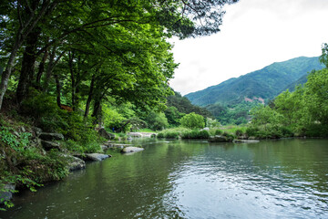 Small lake,forest and mountain landscape with reflection at spring time.