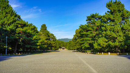 夏の京都御苑の空模様