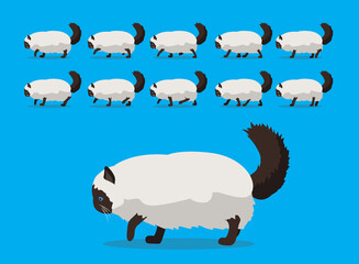 Animal Animation Sequence Cat Burman Cartoon Vector