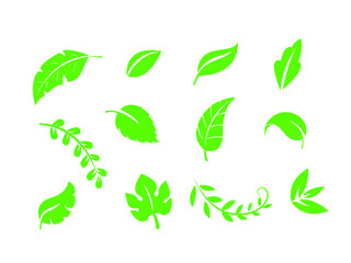 Green leaves Icon Vector illustration. Nature Leaf decorative symbol. leaves of trees and plants sign, emblem isolated on white background, Flat style for graphic and web design, logo. EPS10 pictogram