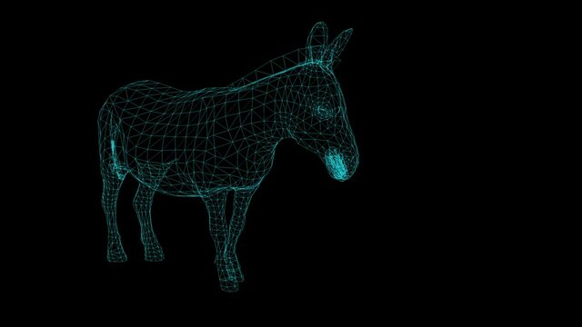 wire frame animation of Donkey  on black background