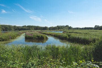 Naklejka na ściany i meble Lokeren, Belgium, Landscape photo of the bird sanctuary called Molsbroek