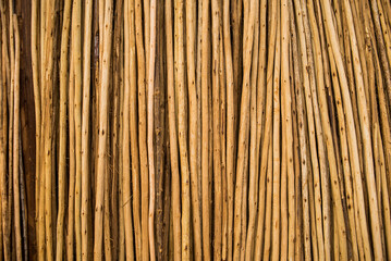 madera, corte de madera, tala de arboles,  wood cut, cut down trees