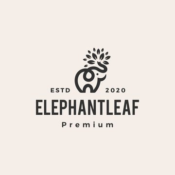 elephant leaf leaves tree hipster vintage logo vector icon illustration
