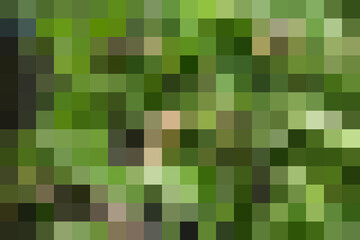 Multi-colored rectangular pixel background. The texture consisting of multi-colored squares.