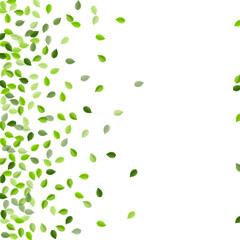 Grassy Greens Ecology Vector Pattern. Motion 