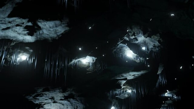 Waitomo Glowworm Caves, Waikato, in pristine secret cave in New Zealand.