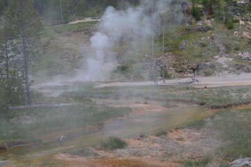 Late Spring in Yellowstone National Park: Blood Geyser Vents Steam at the Foot of Paintpot Hill in the Lower Section of Artists' Paintpots in the Gibbon Geyser Basin