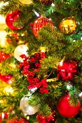 冬を彩るクリスマスツリー