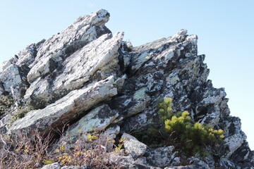 известковая вершина сопки и ельник