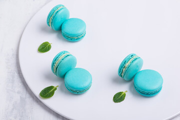 blue Macaroni cookie French on white plate. Studio photo