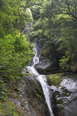 Fototapeta na wymiar 猿尾の滝