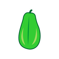 fruit icon vector symbol isolated illustration white background