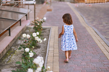 A little girl walks in a dress in the courtyard of a tall building and looks at the roses. stands back