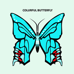 butterfly vector illustration
