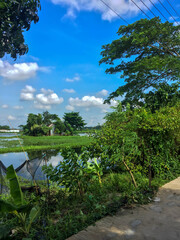 Naklejka premium tree and cloudy sky landscape view