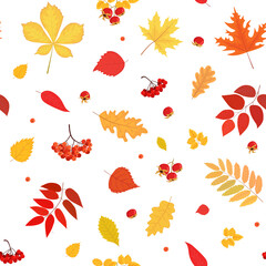 Obraz premium Seamless pattern from colored autumn leaves and berries. Vector illustration of maple, chestnut, mountain ash, oak, birch, wild rose, viburnum isolated on a white background.