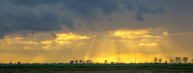 sunset over the field