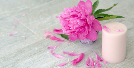 Beautiful pink peony flowers and white candle on light grey stone background with copy space for your text top view. Greeting card, SPA and romantic concept.