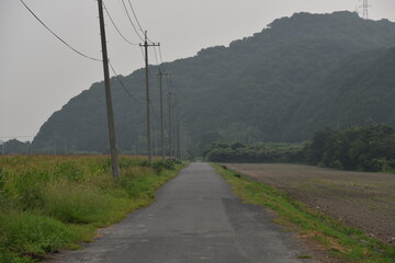Fototapeta na wymiar 岡山県笠岡市の干拓地の直線道路