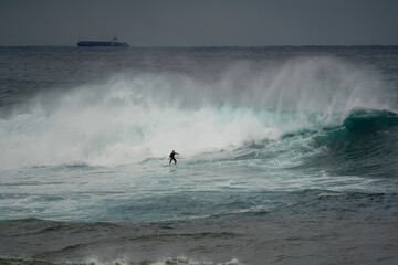 surfer catching a massive wave at Coogee beach/ Wedding Cake Island in Australia 
