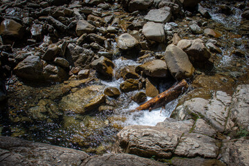 Beautiful mountain river. Stones in the mountain river. Wooden log in the water. The Carpathian mountains.