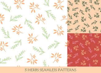 Seamless patterns set with herbs for packaging design templates and textile. Hand drawn vector illustration.