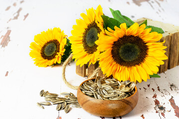 Sunflowers in the wooden rustic box, sunflower seeds in the bowl, on the white vintage background. Beautiful greeting card design.