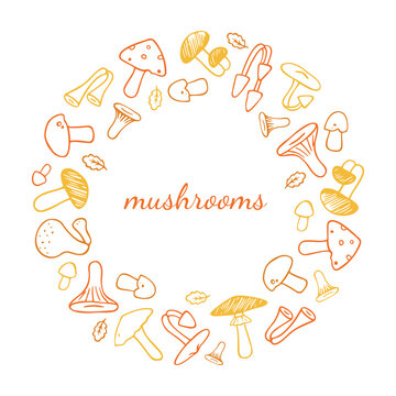 Collection of edible and inedible mushrooms in a circle. Vector hand-drawn.