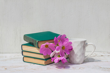 Summer leisure activities. Stack of book, bouquet of purple cosmos flowers and white modern mug of coffee on white paint wooden background