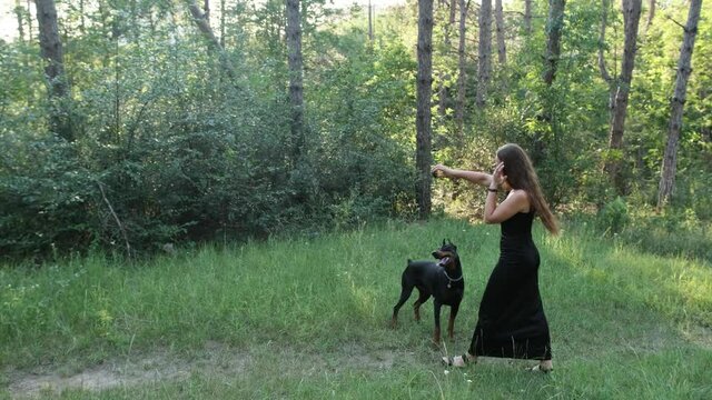 Young girl dressed in a black dress playing with her doberman dog using a ball, the dogs jump and run after the ball.