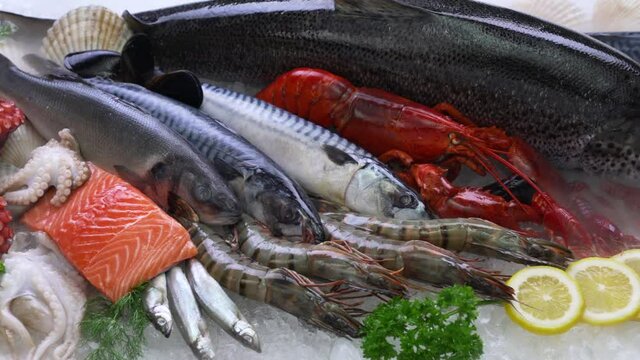 Top view of variety of fresh fish and seafood on ice with dry ice smoke.