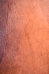 cow skin texture background, cow leather with fur background